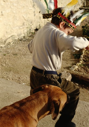 Hundeangriff, Hundebiss Hunde
